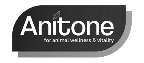 Anitone